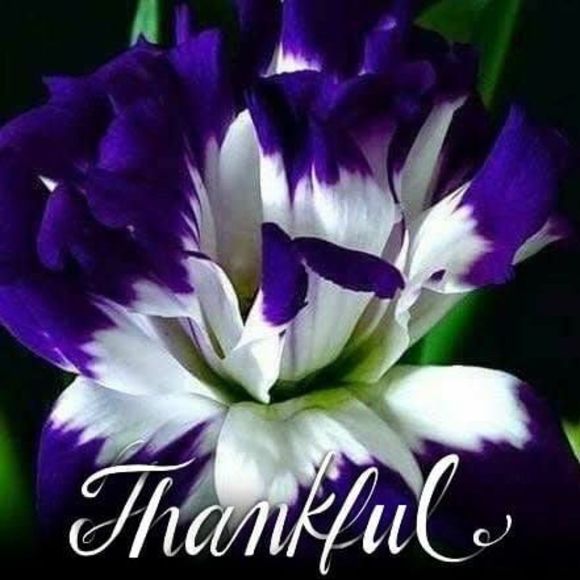 Meet your Posher, Cassandra - Picture 1 of 1